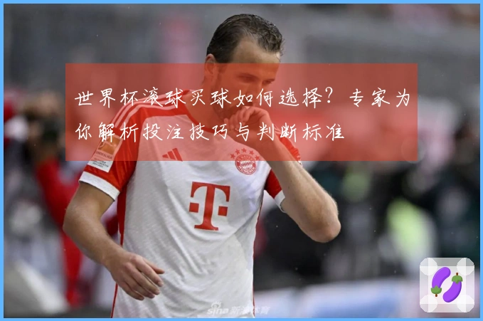 世界杯滚球买球如何选择？专家为你解析投注技巧与判断标准