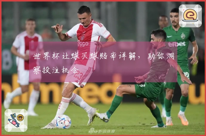世界杯让球买球赔率详解，助你洞察投注机会