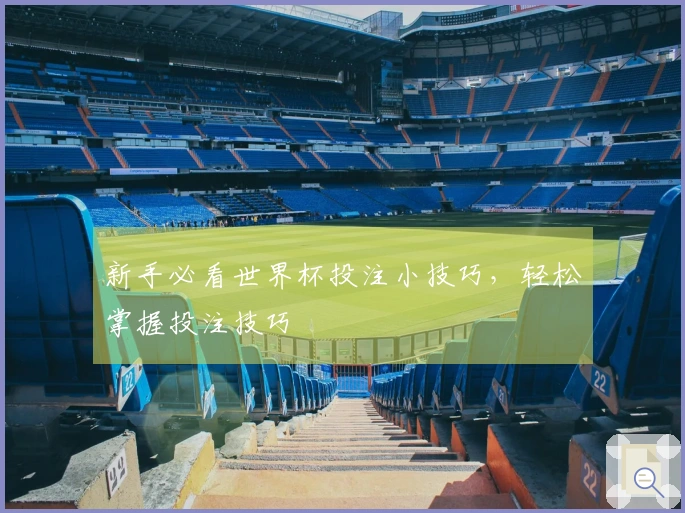 新手必看世界杯投注小技巧，轻松掌握投注技巧