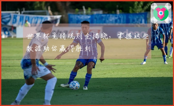 世界杯竞猜规则全揭晓，掌握这些数据助你赢得胜利