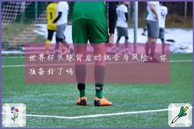 世界杯买球背后的机会与风险，你准备好了吗