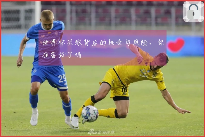世界杯买球背后的机会与风险，你准备好了吗