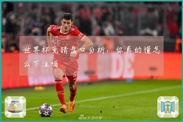 世界杯竞猜盘口分析，你真的懂怎么下注吗