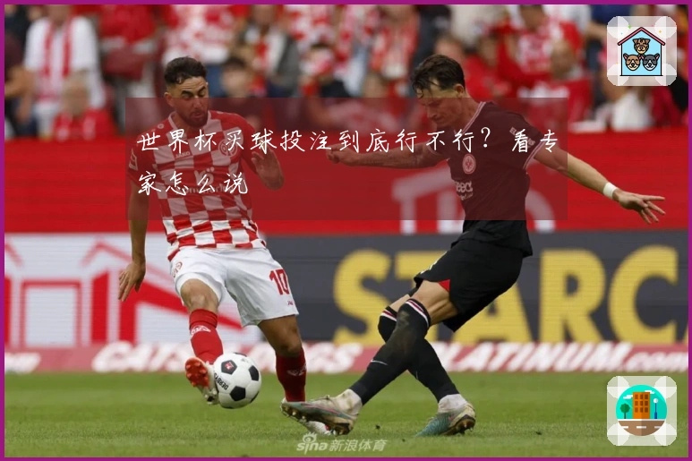 世界杯买球投注到底行不行？看专家怎么说
