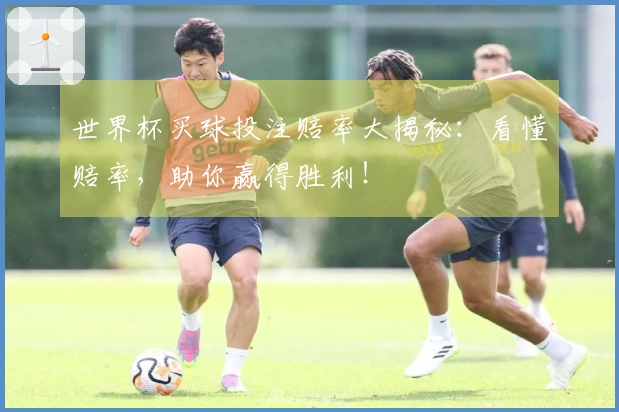 世界杯买球投注赔率大揭秘：看懂赔率，助你赢得胜利！
