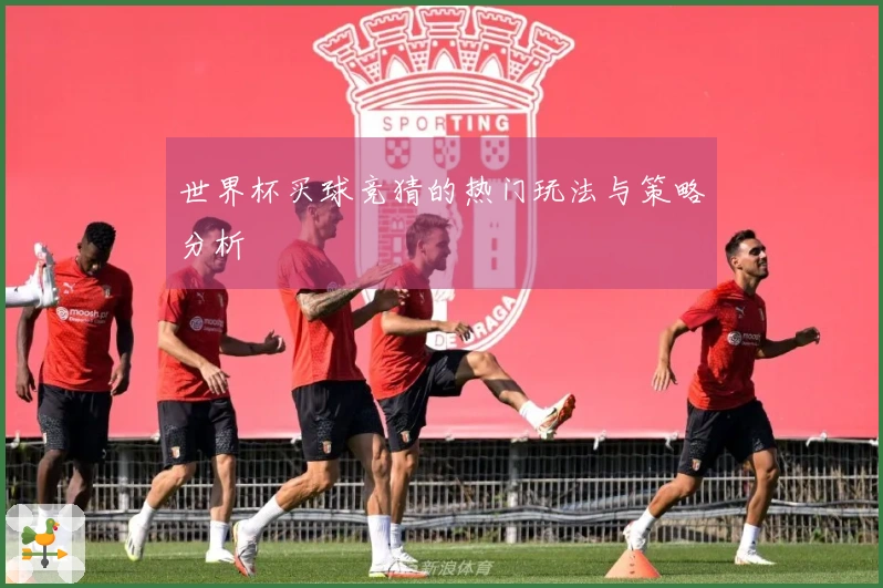 世界杯买球竞猜的热门玩法与策略分析
