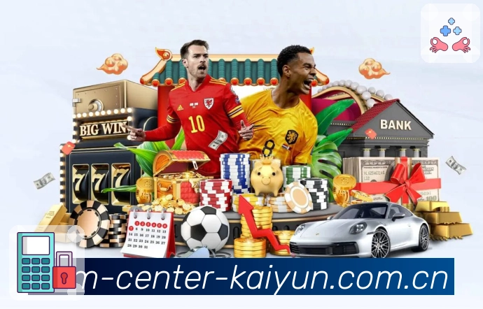 线路诊断 - 网络检测与备用入口